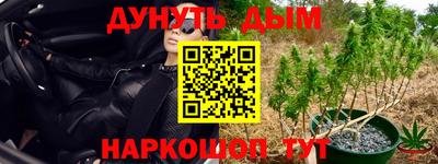 прущие крисы Вышний Волочёк