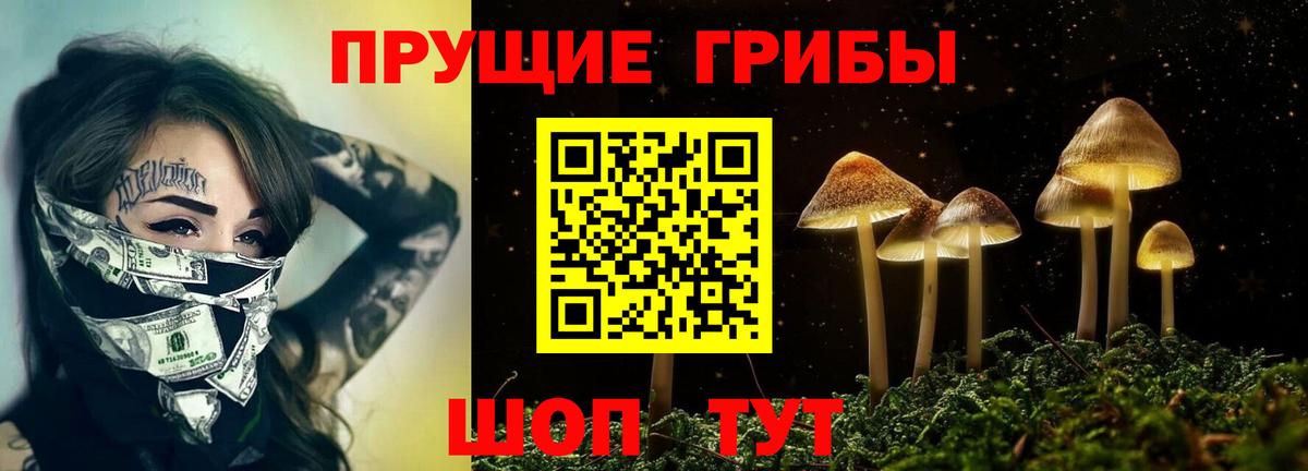 Асино  Галлюциногенные грибы Magic Shrooms  Вход с VPN 